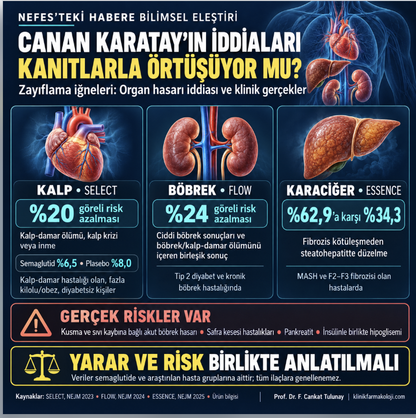 Canan Karatay'ın iddiaları kanıtlarla örtüşüyor mu? Zayıflama iğneleri: kalp, böbrek ve karaciğer verileri. İnfografik